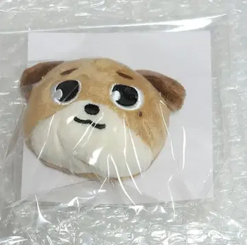 DAY6 FOREVER YOUNG 봉제 인형 배치