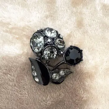 AnnaSui 아나스 브로치