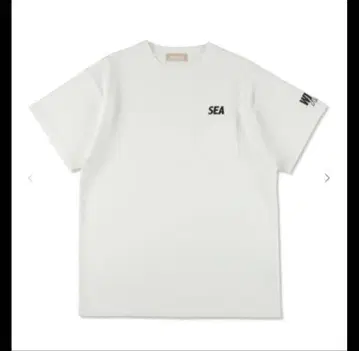 PIGMENT POCKET WIND AND SEA 아이보리