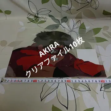 AKIRA 클리어 파일 오토모 가츠히로 애니메이션 셀화전 아키라 빈티지