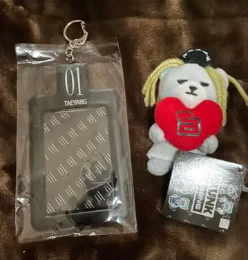 TAEYANG 팬미팅 키링, 곰 봉제 인형 세트