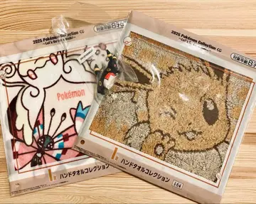 제일복권 포켓몬 F상 블래키, I상 x 2