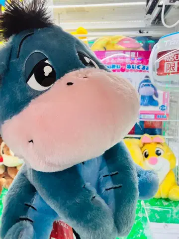 #미사용#이요르#푸우#디즈니#Disney#봉제 인형#우루리미