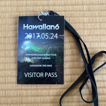 HAWAIIAN6 투어 패스