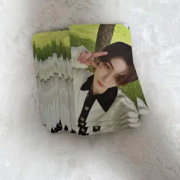 BOYNEXTDOOR SHOPEE kpopmerch 50장 이한