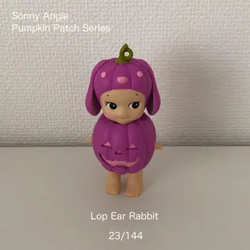 호박 패치 소니엔젤 롭이어 토끼