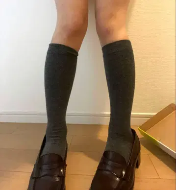 고등학교 HARUTA 로퍼 24cm 브라운