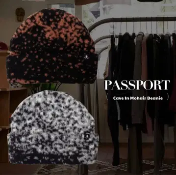 Passport 비니 스케이터