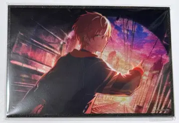 하피콜레 시노노메 아키토 아크릴 색지 C