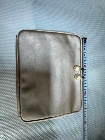 호보니치 오키이 히키다시 파우치 샴페인 펄 골드 지퍼 파우치