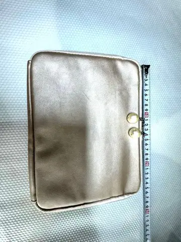 호보니치 오키이 히키다시 파우치 샴페인 펄 골드 지퍼 파우치