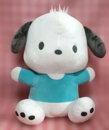 포차코 초초 BIG 봉제 인형