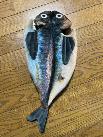 이토 마린타운 한정 전갱이 구이 복권 4등