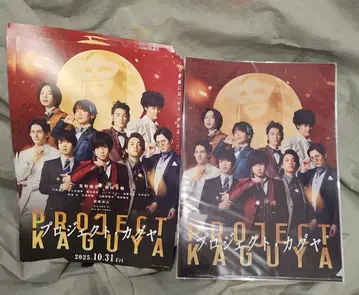 PROJECT KAGUYA 클리어 파일 & 플라이어