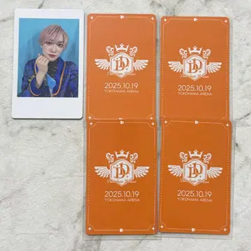 팬더 드래곤 타이거 DDP 하피카