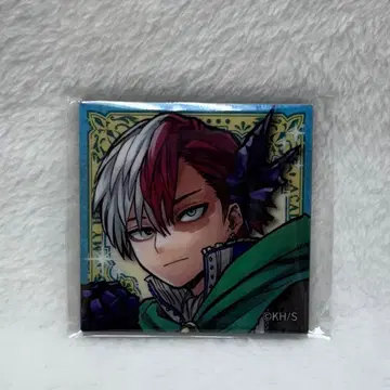 히로아카 토도로키 쇼토 십걸 아크릴 마그넷