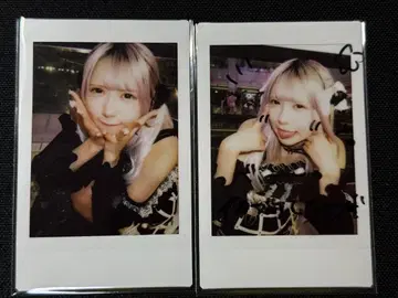 시라소라 코아이 댓글 첨부 대죄 의상 폴라로이드