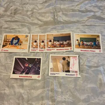 스토푸리 브로마이드