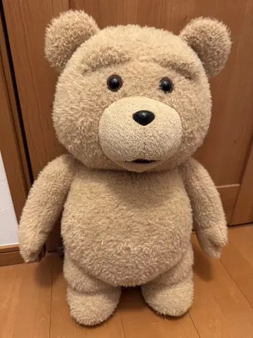 TED 봉제 인형 전체 길이 58cm