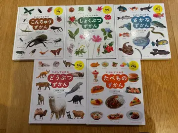 도감 세트 (동물, 음식 등)