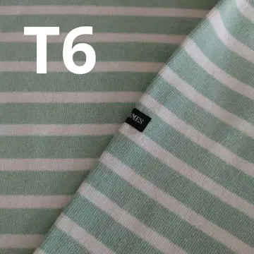 새상품급 웨쌍 민트 그린 x 화이트 T6 세인트 제임스