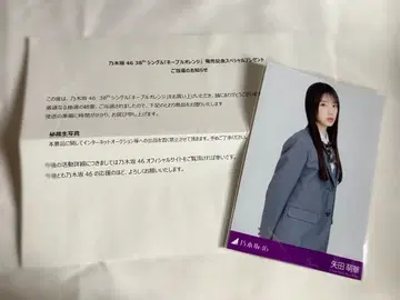 야타 모에카 비장 브로마이드 노기자카46 네이블 오렌지