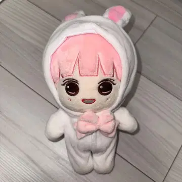 seventeen 정한 20cm 마스터 봉제 인형