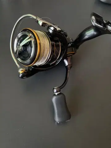 다이와 21 칼디아 FC LT2500S