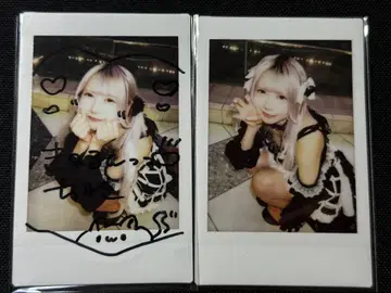 시라소라 코아이 댓글 첨부 대죄 의상 폴라로이드