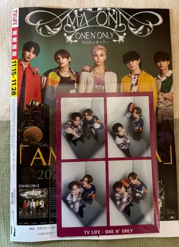 ONE N' ONLY TVLIFE 아마조니아 카드 TETTA REI