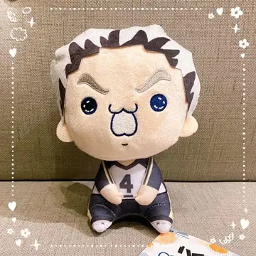 [택 포함] 하이큐!! 모치피코 봉제 인형 보쿠토 코타로