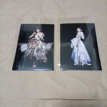 여자 용-JOYU-project 사진전 II 이와타 히나키 브로마이드