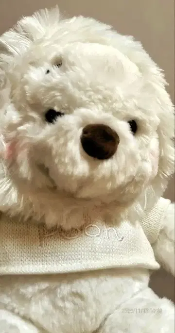 후드 부착 화이트 곰 봉제 인형