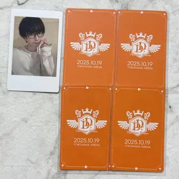 팬더드래곤 나루키 하피카 트레이딩 카드 폴라로이드