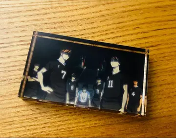 하이큐 메모리얼 아크릴 이나리자키 미야 아츠무 미야 오사무