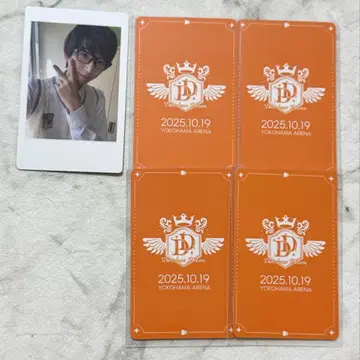 팬더드래곤 나루키 하피카 트레이딩 카드 폴라로이드