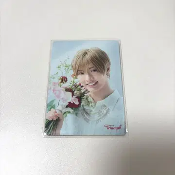 IMP. 사토 신 오리지널 메시지 카드