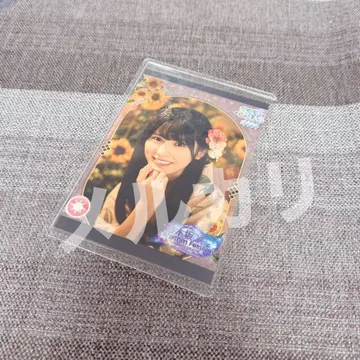 노기페스 오고시 히나노 프린트 카드 노기마츠리