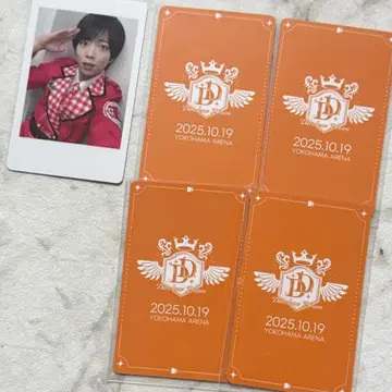 팬더드래곤    트레이딩 카드 폴라로이드