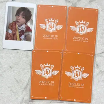 팬더드래곤    트레이딩 카드 폴라로이드