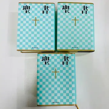 성경 신공동역 소형 NI44 스카이블루 체크 무늬 3권 세트