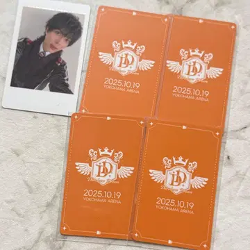 팬더 드래곤 팟치 하피카 트레이딩 카드 폴라로이드