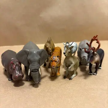 아니아 동물 8체 세트 타카라토미