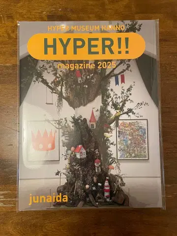 HYPER MUSEUM HYPER magazine 2025 junaida