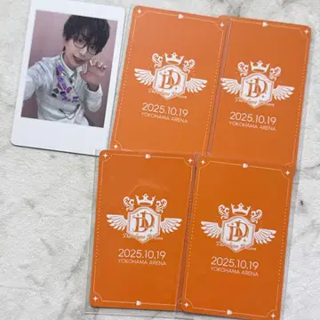 팬더드래곤 나루키 하피카 트레이딩 카드 폴라로이드