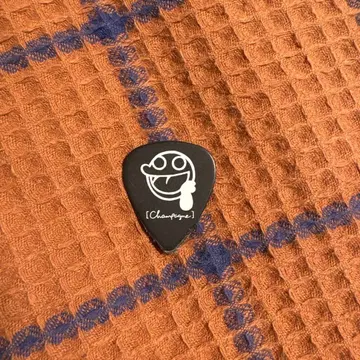 [Alexsandoros] [Champagne] 피크