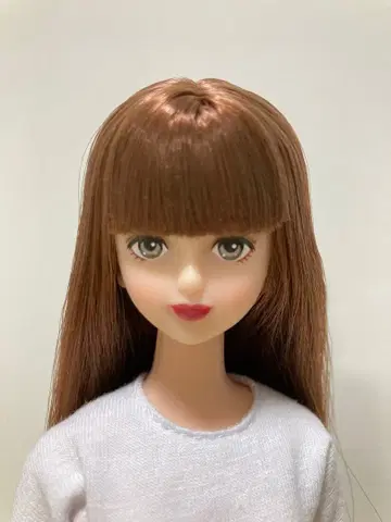 리카짱 캐슬 시온