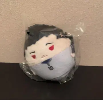 블루 록 봉제 인형 후와코로린 바로 사에이