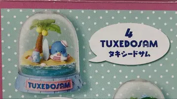 두근두근 테라리움 턱시도샘 산리오