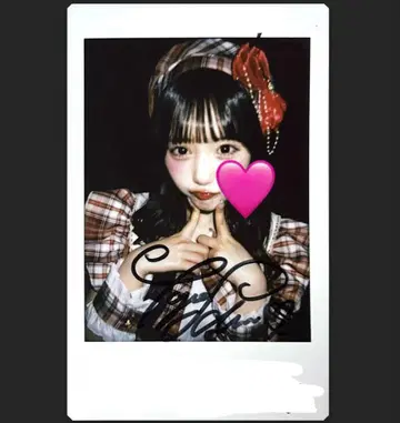 타지마 사쿠라코 멘카라 메이드 의상 폴라로이드